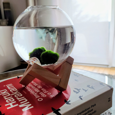 Marimo Akan